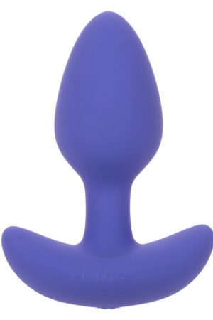 Calexotics Connect Tapered Probe - Purple